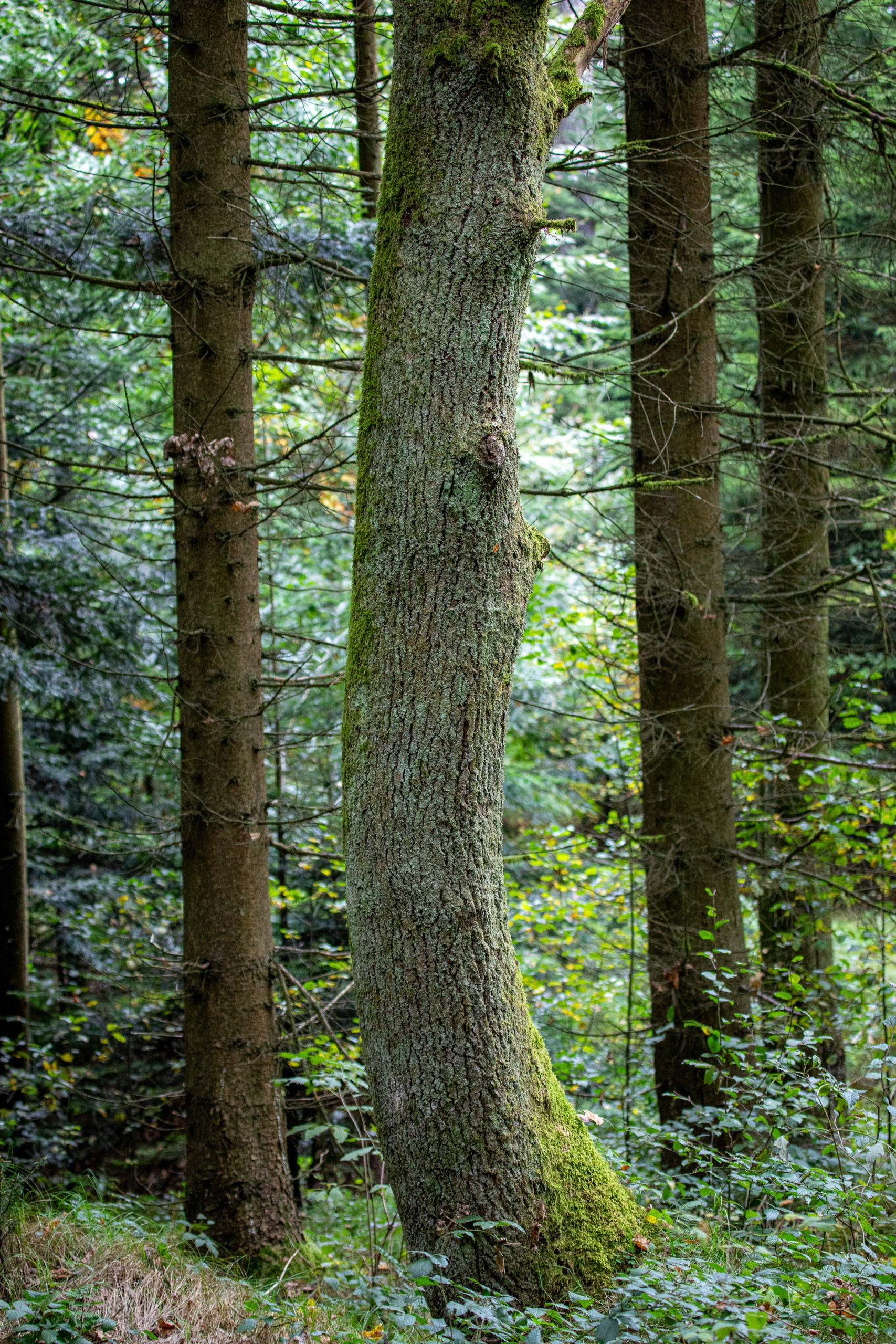 20231014102429 RD4 4676